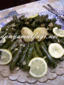 Photo-0066