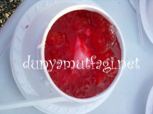 Photo-0028